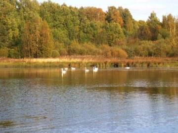 Фото номера Дом для отпуска Дома для отпуска Holiday Home Vinnari г. Kilvakkala 22