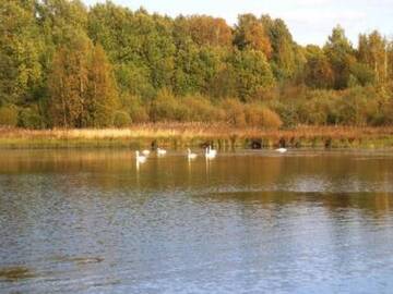Фото номера Дом для отпуска Дома для отпуска Holiday Home Vinnari г. Kilvakkala 53